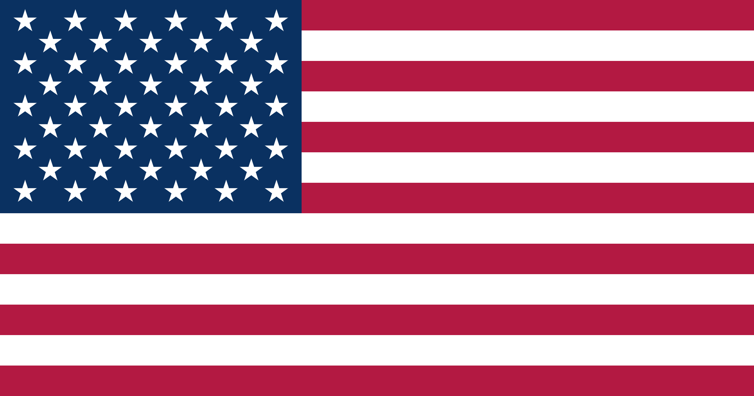 Flag_of_the_United_States (1)