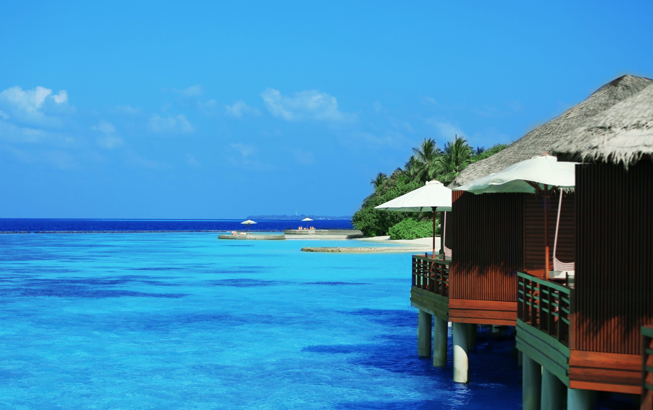 اليوم السادس | العودة إلى الوطن