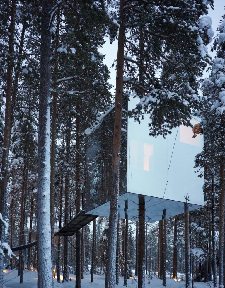 الرئيسية 14 فندق Treehotel في السويد: دليل الإقامة بين الأشجار وجناح Oasis الجديد